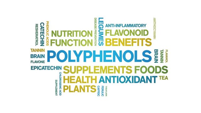 Polyphenols animated word cloud-animation tag kinetic typography seamless loop.
