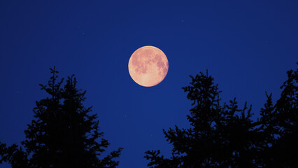 Full Moon, stars and planets above landscape silhouettes.