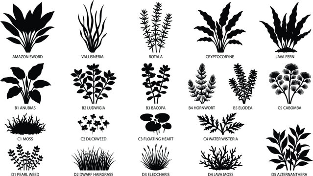 aquatic plant silhouette graphics featuring various aquarium species like Amazon sword, java fern, and moss for water garden and tank design projects.