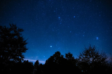 Milky Way stars with countryside tree and landscape silhouettes. © astrosystem
