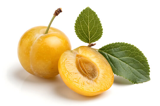 Mirabelle Plum Isolated on white background