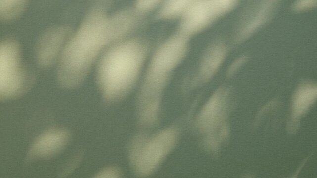 Leaves shadows silhouette on wind overlay abstract background, soft light reflection from leafs, tree branch or lush foliage in summer sunlight.