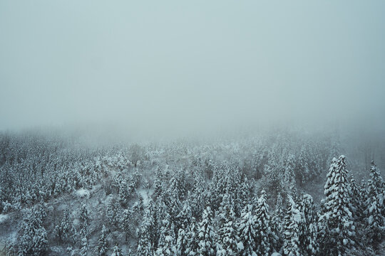 雪山