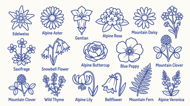 Collection of Hand-Drawn Alpine Flowers and Plants in Blue Outline Style.
