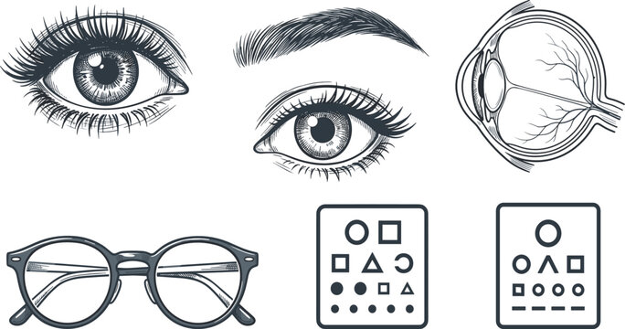 Eye anatomy and vision care collection featuring human eyes eyeball eyeglasses vision test charts and ophthalmology medical vector illustration