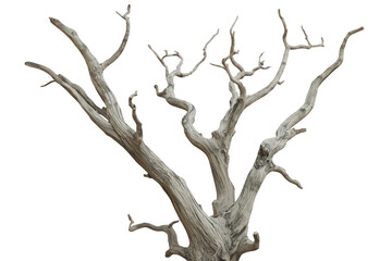 Fototapeta premium Dead tree trunk and bare branches portraying drought, decay, and environmental challenges, transparent background