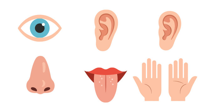 Human five senses set with eye ear nose tongue and hands