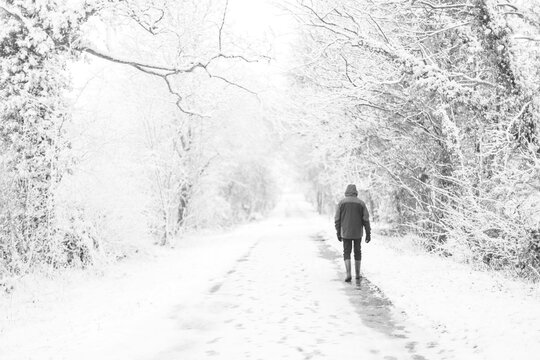 Lonely person walking alone down snowy path in beautiful winter forest