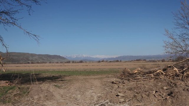 Plowed land in a rural field, uprooted trees in the foreground, early spring, snow-capped mountains in the distance