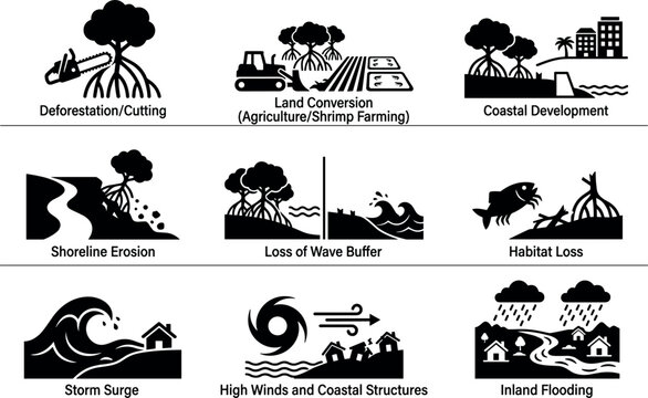 Mangrove Deforestation and Coastal Destruction Vector Icon Set Featuring Land Conversion, Shoreline Erosion, Loss of Wave Buffer, Storm Surge, and Habitat Degradation Graphics