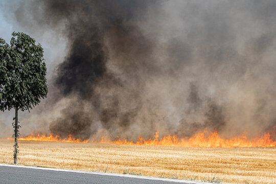 incendie dans les champs en seine et marne