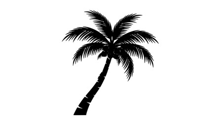 palm tree silhouette © Kottu