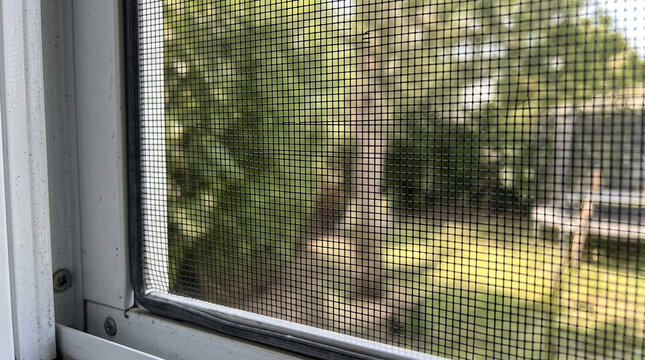 Close-up of nylon mesh window screen with garden view outside highlighting fine details of texture and structure.