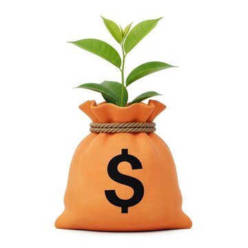 Money bag with growing plant