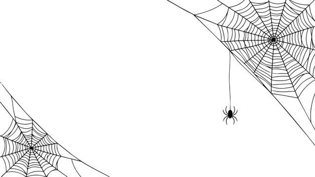 Halloween spider web corner border with black spider transparent background vector