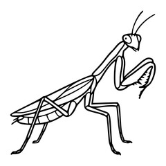 A clean black and white line art vector icon of a praying mantis in characteristic stance, excellent for representing entomology, natural history, predatory insects, or organic pest control in educati © SultanaMostaina