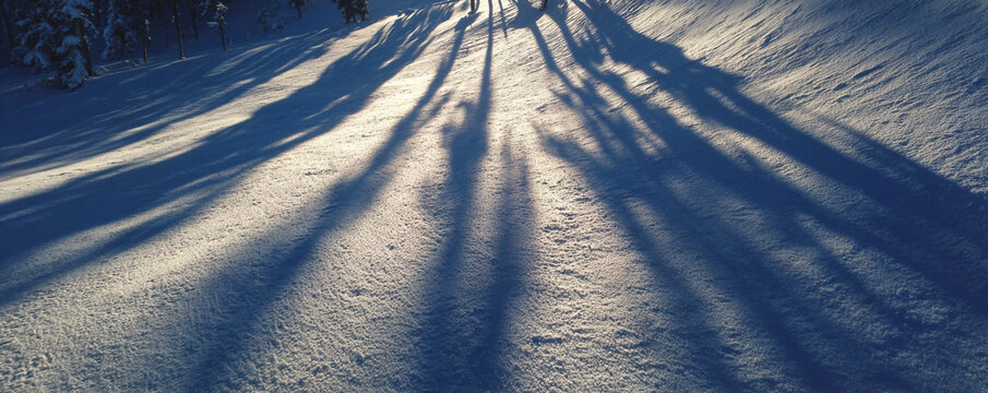 Low snow-surface camera angle, dramatic side lighting casting elongated shadows 32k
