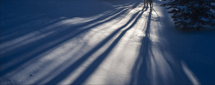 Low snow-surface camera angle, dramatic side lighting casting elongated shadows 32k