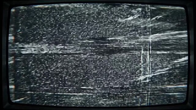 A grainy black and white television screen showing static noise