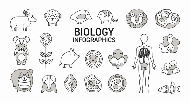 Biology infographics icons showing human anatomy and animals