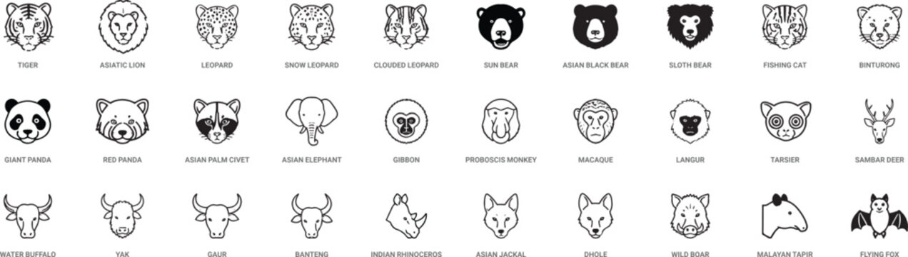 Animals Face Icon Set