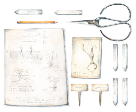 Watercolor hand drawn set with illustration of vintage garden tools, scissors, plant labels, seed packet, pencil, old notebook page with botanical sketches isolated on white background. Rustic clipart