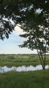 Scenic summer landscape of a calm winding river with a flock of wild birds flying, nature freedom concept