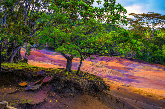 Vibrant multicolored sand dunes of the Seven Colored Earth at Chamarel Geopark, framed by lush tropical rainforest and dramatic clouds in Mauritius, Africa.