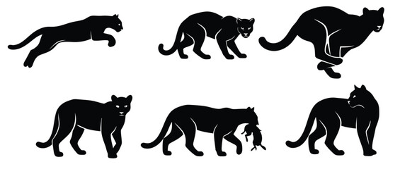 set of blackpanter © coldplayerz