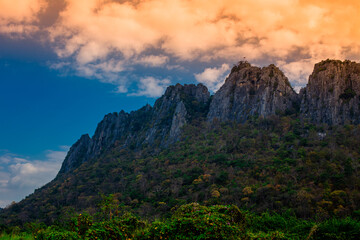 Fototapeta premium Close-up wallpaper view of nature (mountains, rivers, mangroves), the blurring of the wind blowing through the leaves, the beauty of the ecosystem while traveling