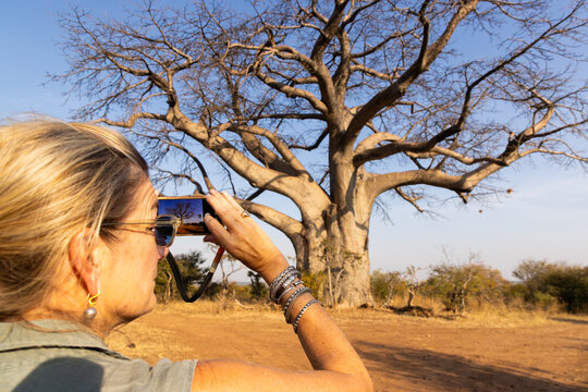 rear view of adult woman taking picture of baoba tree, Zambezi National Park, Zimbabwe, Africa