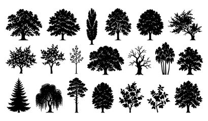 Deciduous and Coniferous Tree Silhouette Vector Icon Set Featuring Pine Oak Maple Willow and Cypress Species for Architectural Elevation and Landscape Design Planning © Mdariful