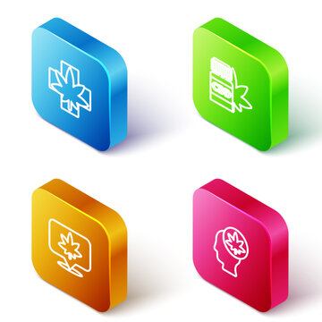 Set Isometric line Medical marijuana or cannabis leaf, bottle with, Location and and Head icon. Vector