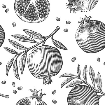 Seamless pattern of pomegranates with leaves and seeds in a vintage engraved style. Botanical fruit illustration for textiles, packaging, wallpapers, kitchen decor, branding, and wrapping paper.