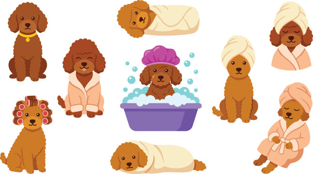 Cute poodle dog spa day grooming vector illustration set featuring cartoon puppies taking a bath wearing bathrobes towels and hair rollers isolated on white background