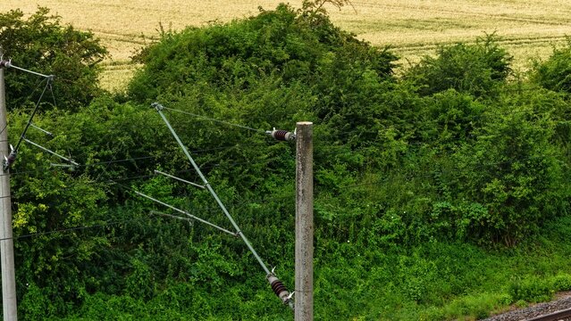 Railway Catenary Detail Against Dense Green Vegetation