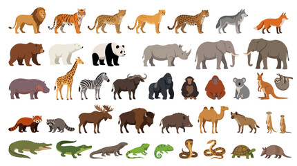 Fototapeta premium A premium vector illustration set featuring a diverse collection of wild animals from different continents and habitats