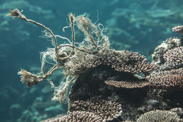 Fishing rope caught on coral reef © Mari