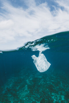 Plastic bag trash floating in the ocean