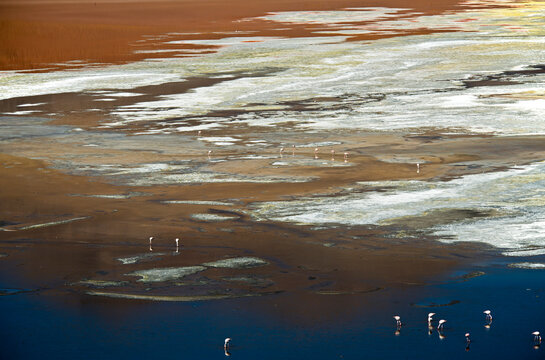 Mirrors and Flamingoes, Bolvian Desert, Bolivia