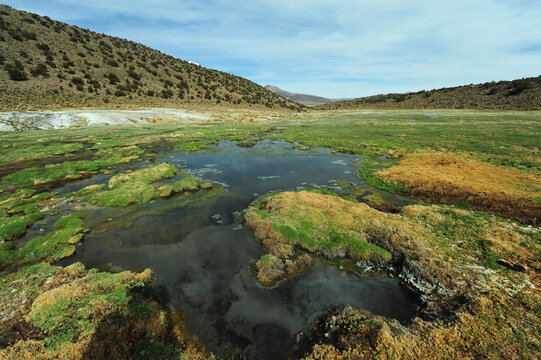 River landscape through the park, Sajama National Park, Bolivia