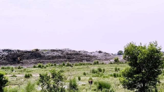 Massive City Landfill with Mountain of Garbage Showing Urban Waste Management, Environmental Pollution and Municipal Solid Waste Disposal Site