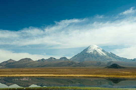 Snowcapped volcano Sajama with flamingos foreground, Sajama National Park, Bolivia