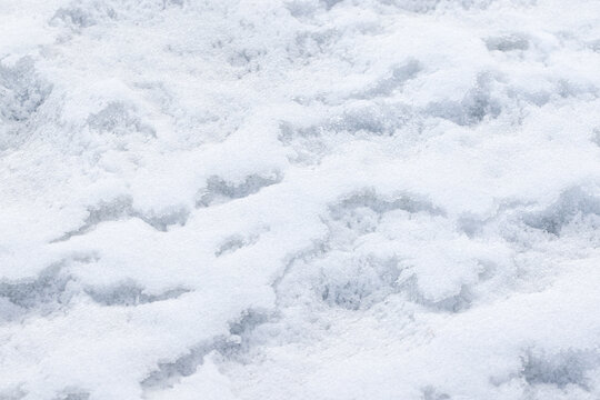 Melting snow and ice fragments cover winter ground at the coast of frozen Baltic Sea, abstract natural background photo
