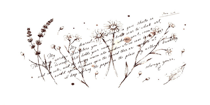Vintage hand drawn wild flowers illustration with handwritten romantic letter calligraphy text