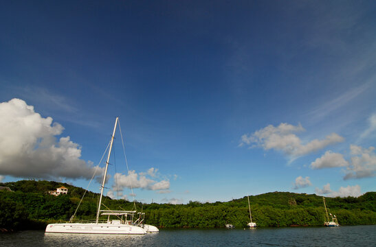 Antigua, English Harbor, image of a sailing boat against lush foliage and sky