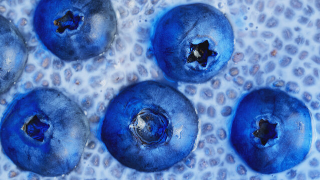 Macro shot of chia pudding in almond milk with fresh blueberries top view background. Healthy dessert organic texture for design project, menu, food banner, social media post and wellness advertising.
