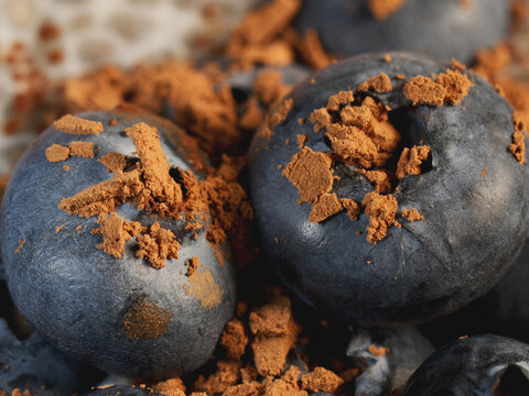 Macro close-up of chia pudding in almond milk with fresh blueberries and cocoa powder. Healthy dessert background for food blog, restaurant menu, banner, social media template and wellness advertising