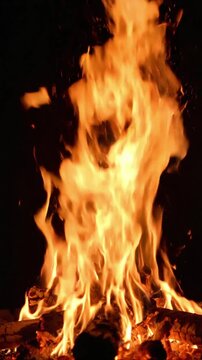Detailed flames loopable macro with alpha matte created as VSRExport