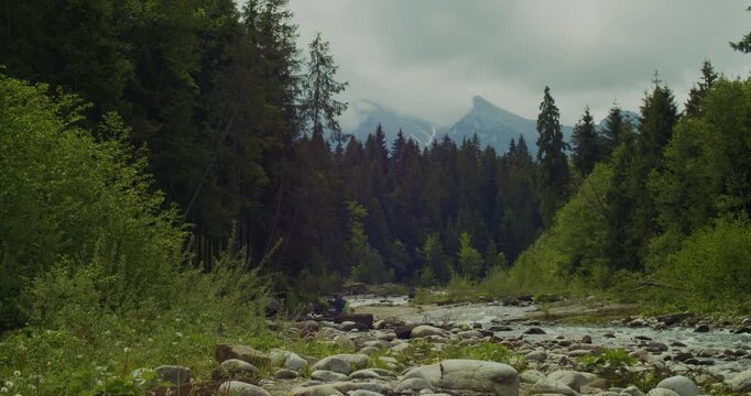 Scenic shot of the Biala River, surrounded by evergreen forests and distant Tatra mountains under a cloudy sky.